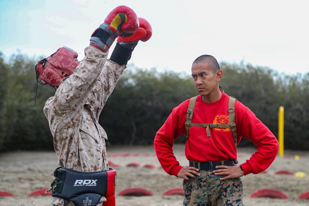 Delta Company Body Sparring and Pugil Sticks