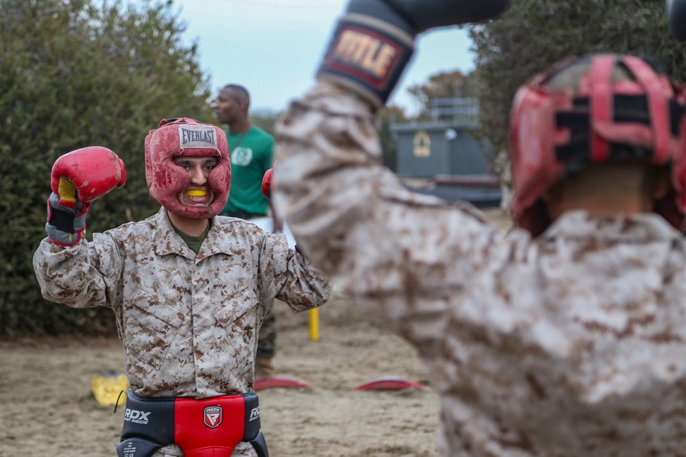 Delta Company Body Sparring and Pugil Sticks