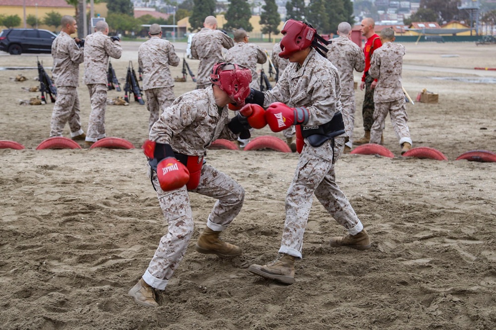 Delta Company Body Sparring and Pugil Sticks