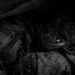 SERE instructs island survival to 15th AS