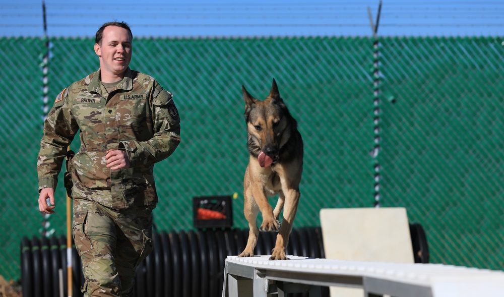 Injured Fort Bliss K-9 handler makes inspiring return to duty