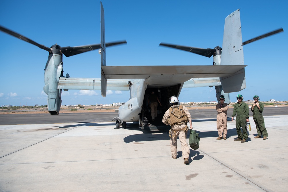 CJTF-HOA participates in exercise Bull Shark with foreign partners