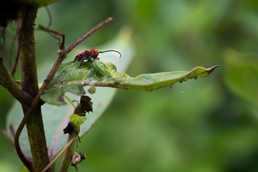 What You Need to Know about Greenbury Point. Respect the Rules and Stay Safe!