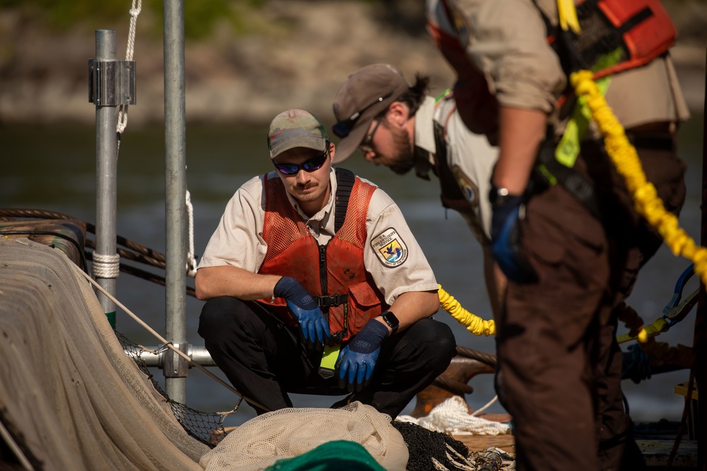 New Deterrent Technology Tested at Peoria Lock and Dam