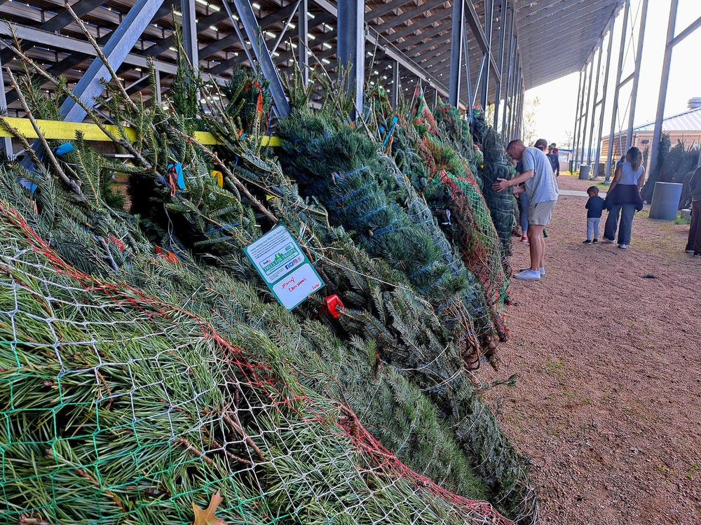 Trees for Troops deliver holiday joy