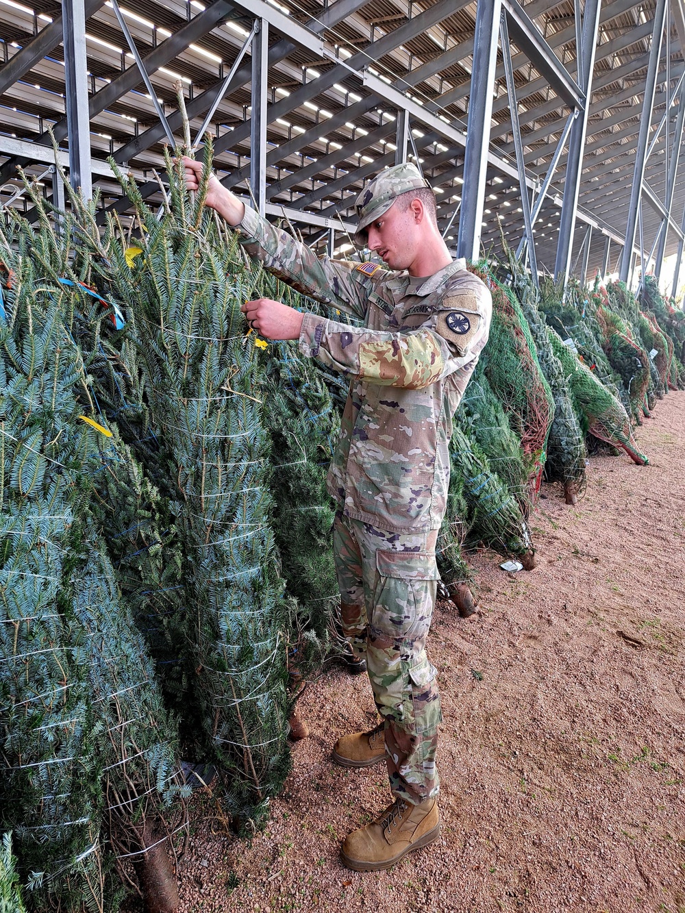 Trees for Troops deliver holiday joy