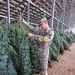 Trees for Troops deliver holiday joy