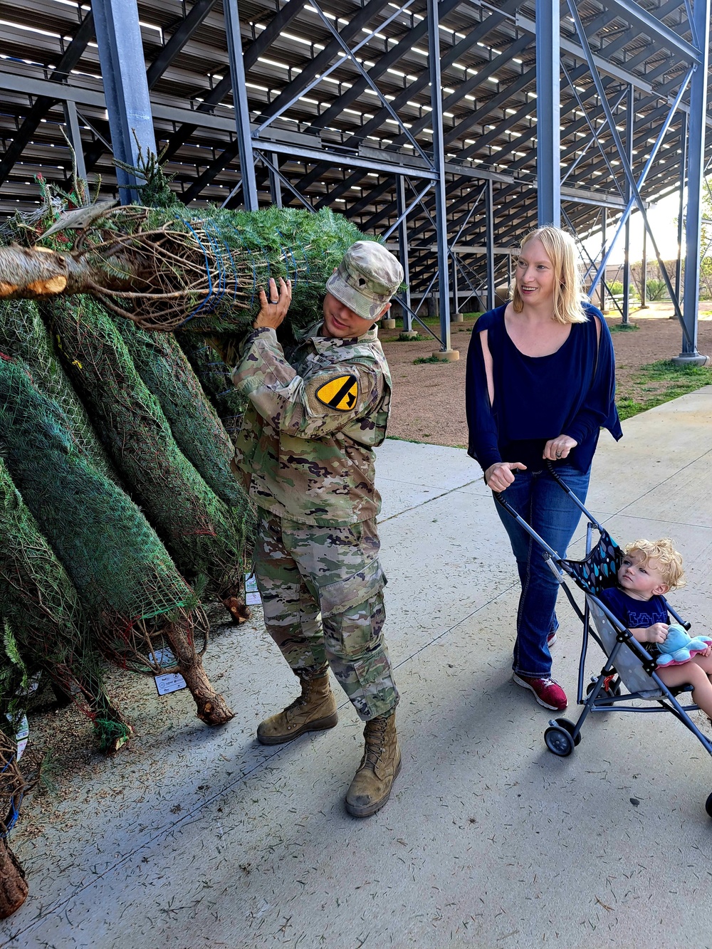 Trees for Troops deliver holiday joy