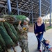 Trees for Troops deliver holiday joy