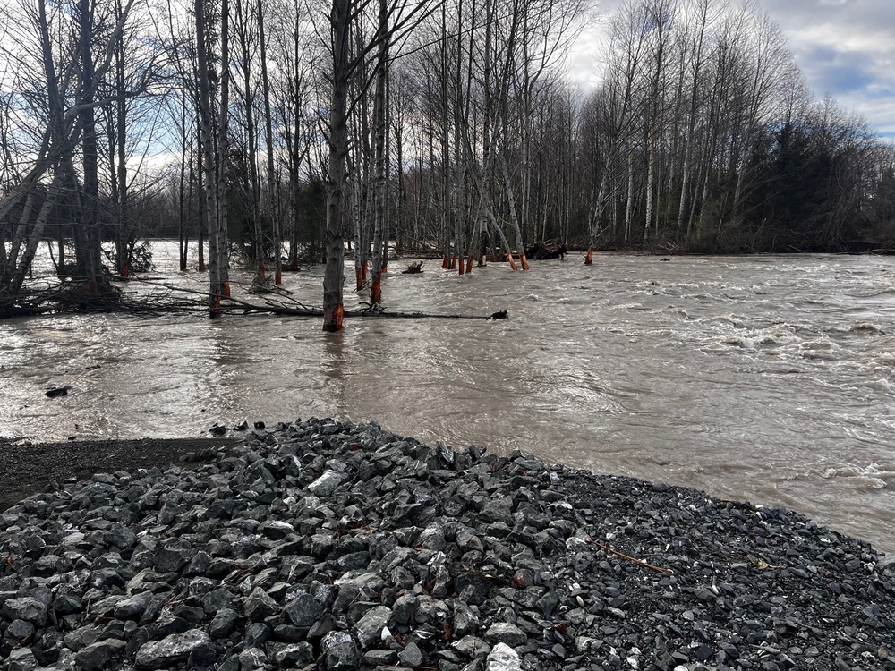 Whatcom County levee repair to start Saturday