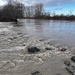 Whatcom County levee repair to start Saturday