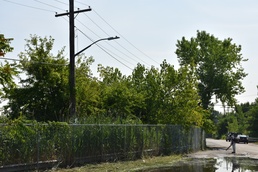 Army Corps, New York District restores habitat in Brooklyn and Queens