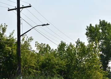 Army Corps, New York District restores habitat in Brooklyn and Queens