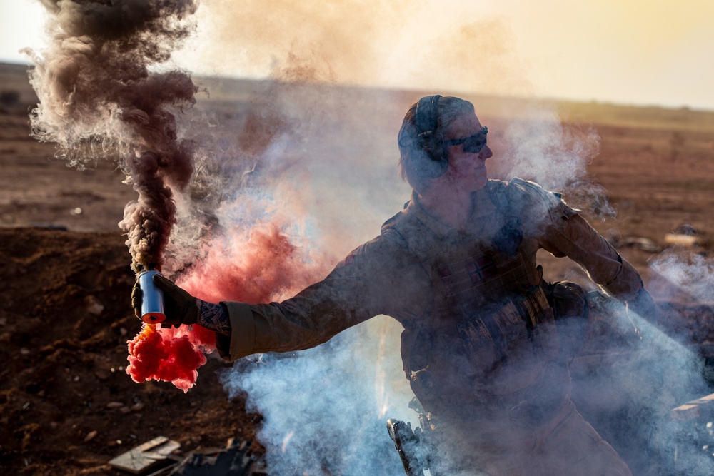 Telemark Mechanized Infantry Battalion, Task Force Viking, Combined Joint Task Force - Operation Inherent Resolve, conducts operational rehearsals