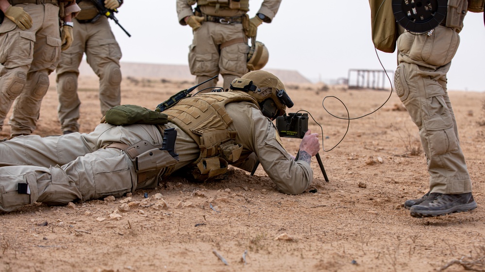 Telemark Mechanized Infantry Battalion, Task Force Viking, Combined Joint Task Force - Operation Inherent Resolve, conducts operational rehearsals