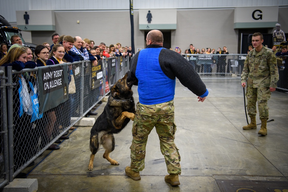 USAREC Soldier and K9 Atuk demonstration at FFA