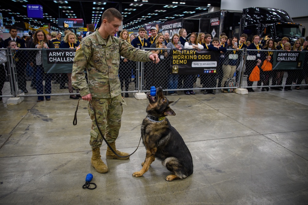 USAREC Soldier and K9 Atuk demonstration at FFA