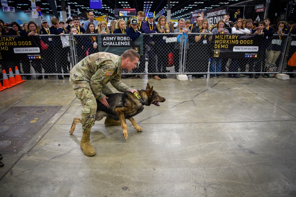 USAREC Soldier and K9 Atuk demonstration at FFA