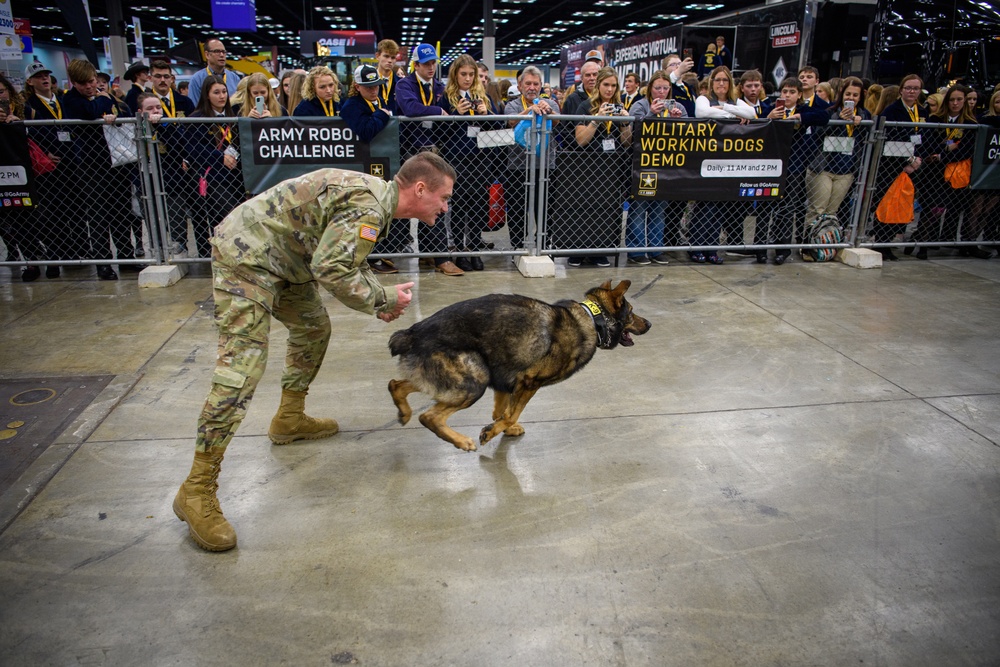 USAREC Soldier and K9 Atuk demonstration at FFA