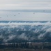 Drop zone drop-off: Washington National Guard pilots support special forces static line jumps