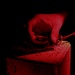 India Company Night Land Navigation