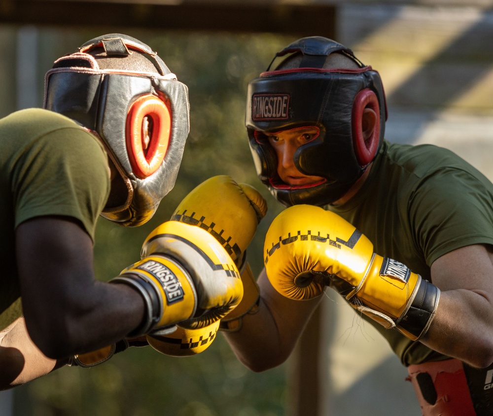 Echo Company Crucible