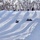 Guests enjoy snow-tubing at Fort McCoy's Whitetail Ridge Ski Area Guests enjoy snow-tubing at Fort McCoy's Whitetail Ridge Ski Area
