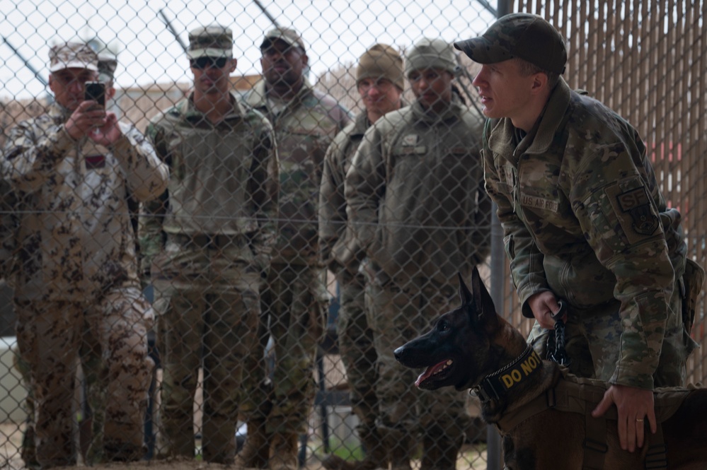 386 ESFS host Military Working Dog demonstration for joint and coalition partners