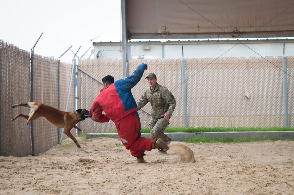386 ESFS host Military Working Dog demonstration for joint and coalition partners