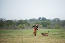A Day in Dad's Life: Gold Star family member spends day with MWD trainers