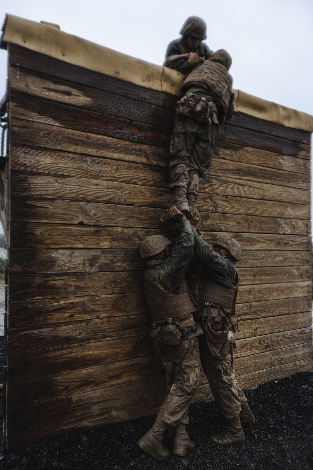 Bravo Company Crucible