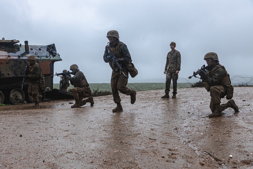 Bravo Company Crucible