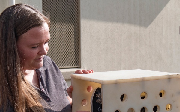 Fuze Experimentation Facility