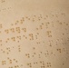 AMEDD Museum - World Braille Month