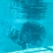 Combat Logistics Battalion 15 Performs Under Water Egress Training