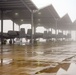 Heavy Fog Fills the Skies of Selfridge