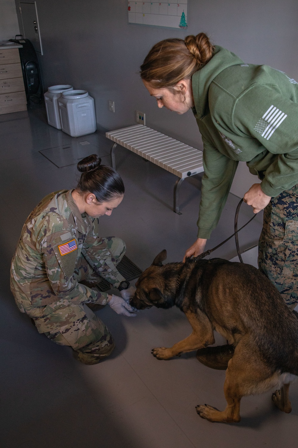 Canine’s best friend: US Army Soldier embraces job as animal care specialist on Marine Corps Air Station Iwakuni