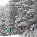 January 2023 snow scenes at Fort McCoy