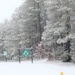 January 2023 snow scenes at Fort McCoy