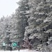 January 2023 snow scenes at Fort McCoy