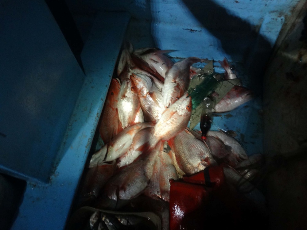 Coast Guard interdicts lancha crew, seizes 350 pounds of illegal fish off Texas coast