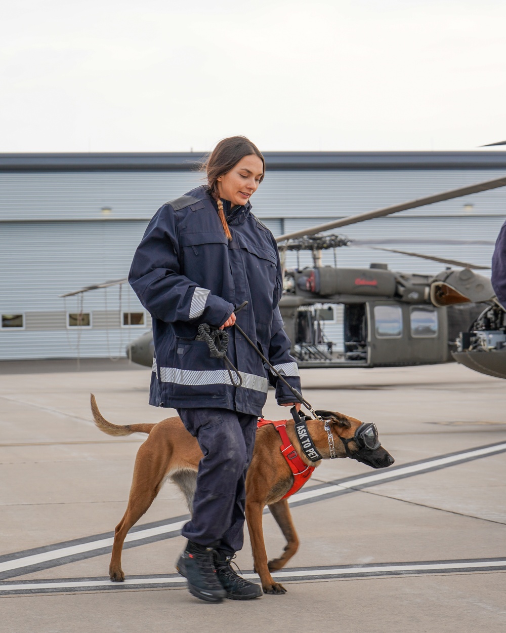 COARNG and CO-TF1 Conduct K-9 Winter Search and Rescue Training
