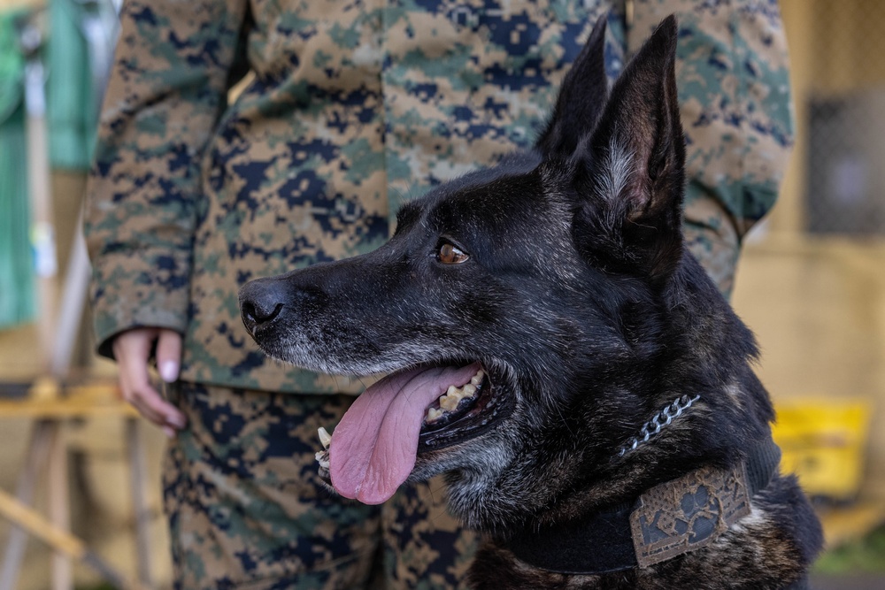 MWD Training