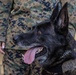 MWD Training