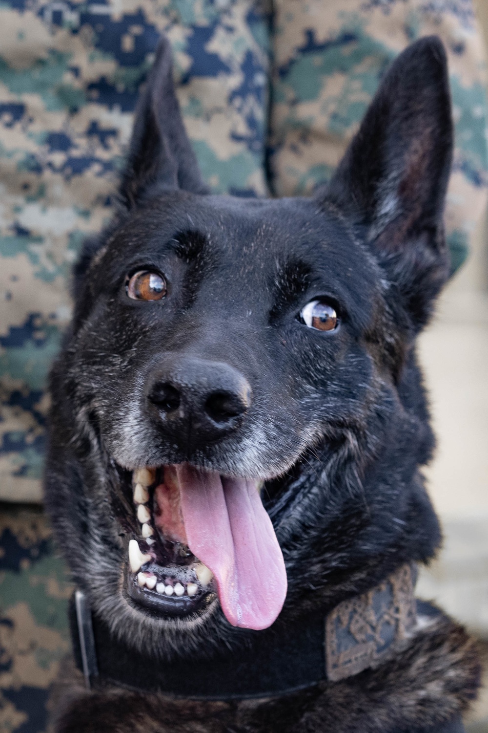 MWD Training