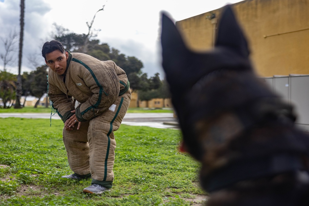 MWD Training