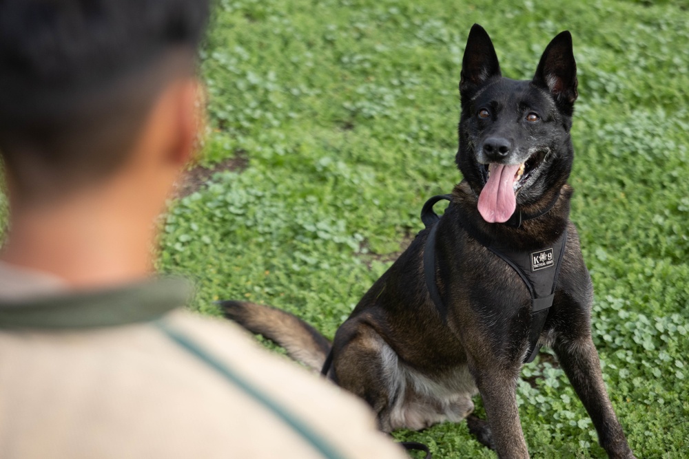 MWD Training