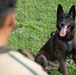 MWD Training