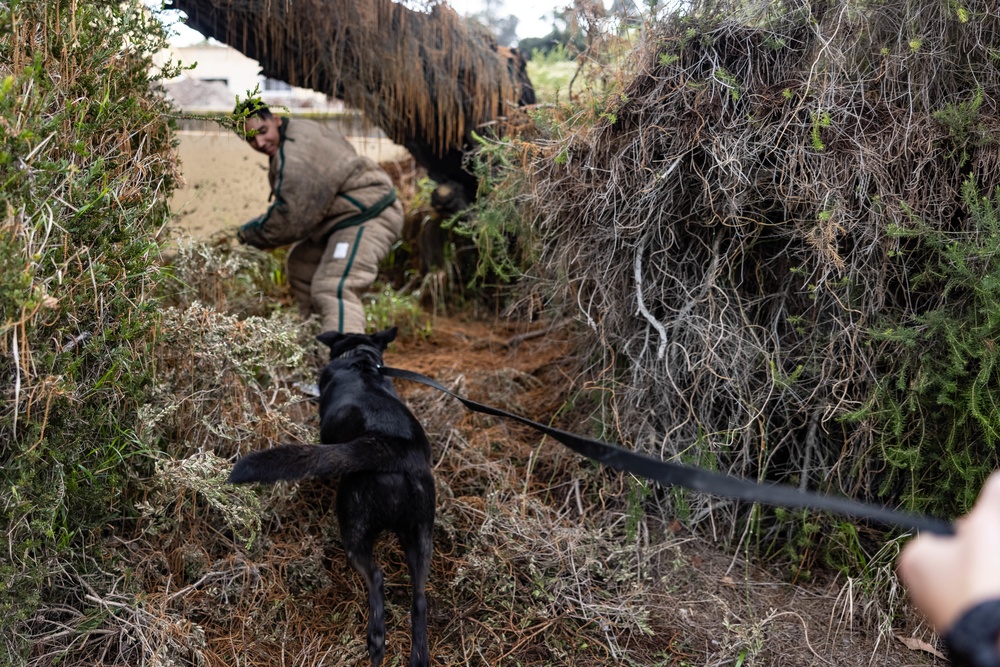 MWD Training