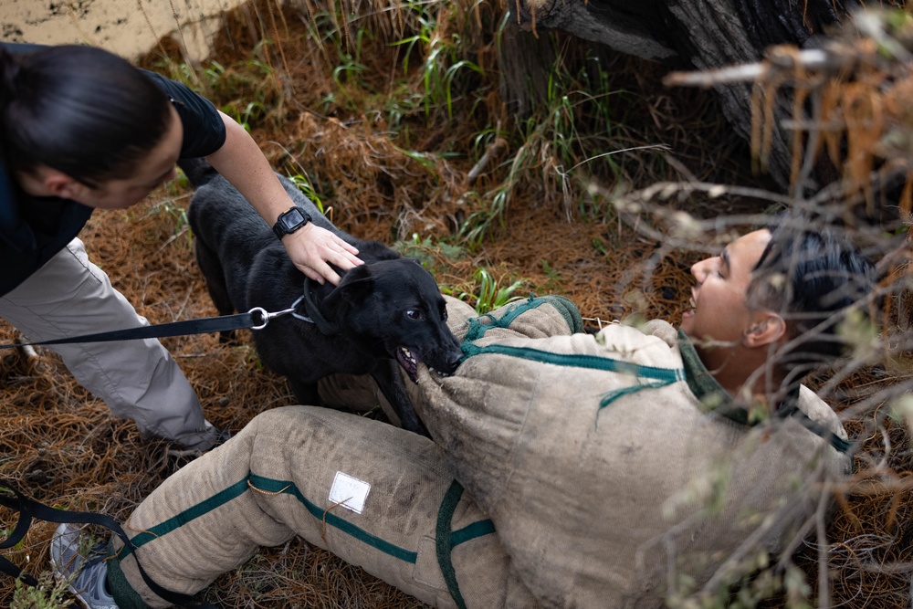 MWD Training